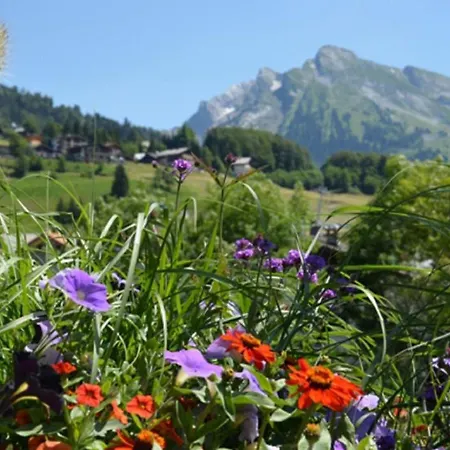 - Les Grandes Alpes Aparthotel La Clusaz