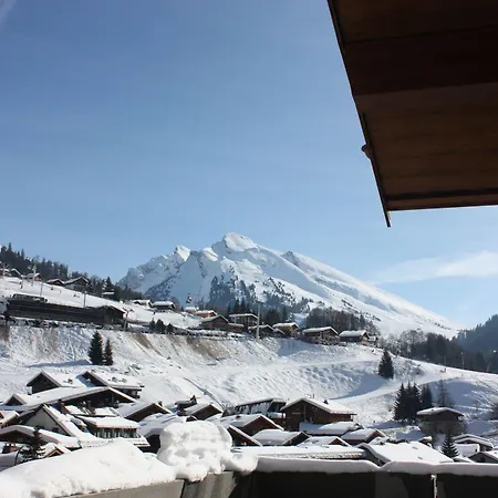 - Les Grandes Alpes Aparthotel