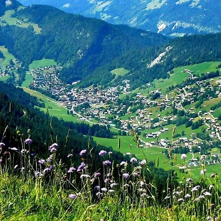 Résidence - Les Grandes Alpes Aparthotel